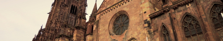 Freiburger Münster